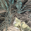 吳東奮在線商城